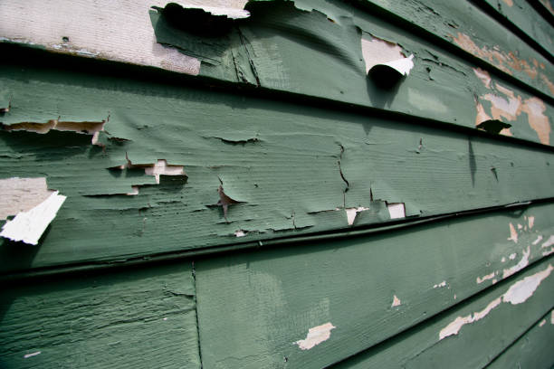 Best Siding Painting and Refinishing  in Powers Lake, WI