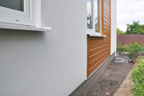 Best Custom Trim and Detailing for Siding  in Powers Lake, WI